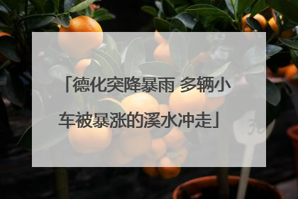 德化突降暴雨 多辆小车被暴涨的溪水冲走
