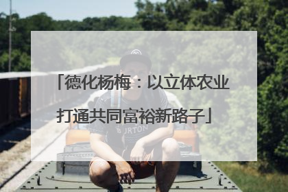 德化杨梅：以立体农业打通共同富裕新路子