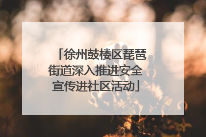 徐州鼓楼区琵琶街道深入推进安全宣传进社区活动