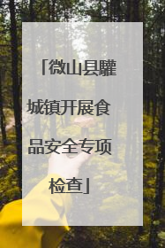 微山县驩城镇开展食品安全专项检查