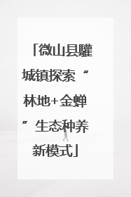 微山县驩城镇探索“林地+金蝉”生态种养新模式