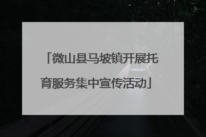 微山县马坡镇开展托育服务集中宣传活动