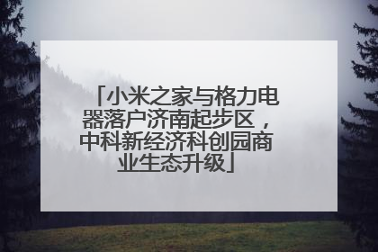 小米之家与格力电器落户济南起步区，中科新经济科创园商业生态升级