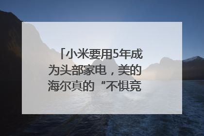 小米要用5年成为头部家电，美的海尔真的“不惧竞争”？｜热财经