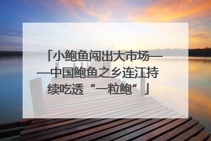 小鲍鱼闯出大市场——中国鲍鱼之乡连江持续吃透“一粒鲍”