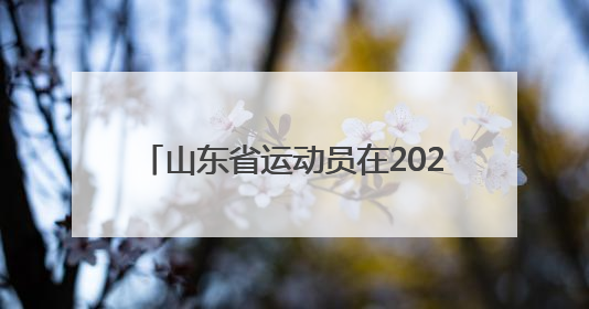 山东省运动员在2025年全国残疾人羽毛球锦标赛暨东京聋奥会选拔赛中斩获3银1铜