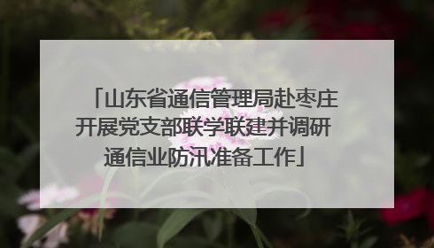 山东省通信管理局赴枣庄开展党支部联学联建并调研通信业防汛准备工作