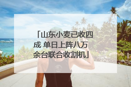 山东小麦已收四成 单日上阵八万余台联合收割机