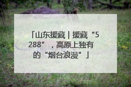 山东援藏｜援藏“5288”，高原上独有的“烟台浪漫”
