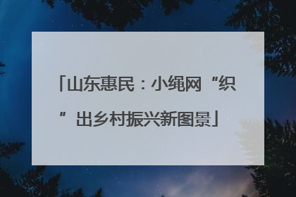 山东惠民：小绳网“织”出乡村振兴新图景