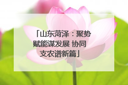山东菏泽：聚势赋能谋发展 协同支农谱新篇