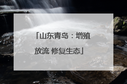 山东青岛：增殖放流 修复生态