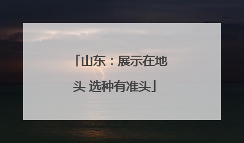 山东：展示在地头 选种有准头