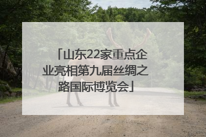 山东22家重点企业亮相第九届丝绸之路国际博览会