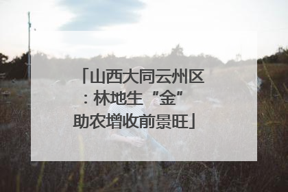山西大同云州区：林地生“金” 助农增收前景旺