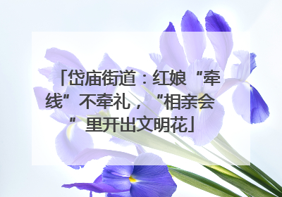 岱庙街道：红娘“牵线”不牵礼，“相亲会”里开出文明花
