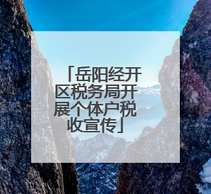 岳阳经开区税务局开展个体户税收宣传