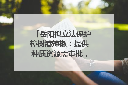 岳阳拟立法保护樟树港辣椒：提供种质资源需审批，违规最高罚5万