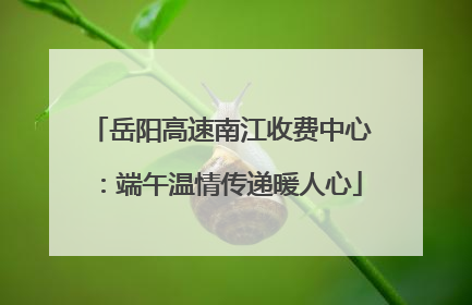 岳阳高速南江收费中心：端午温情传递暖人心
