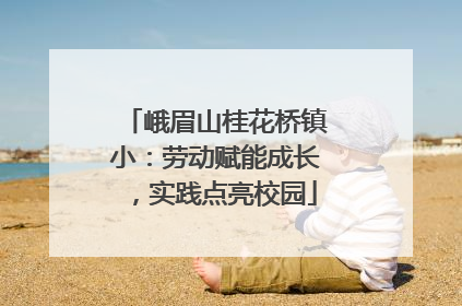 峨眉山桂花桥镇小：劳动赋能成长，实践点亮校园