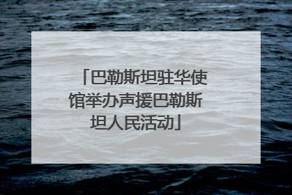 巴勒斯坦驻华使馆举办声援巴勒斯坦人民活动