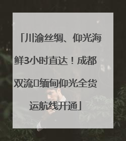 川渝丝绸、仰光海鲜3小时直达！成都双流⇌缅甸仰光全货运航线开通