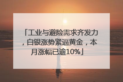 工业与避险需求齐发力，白银涨势紧逼黄金，本月涨幅已逾10%