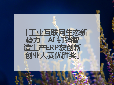 工业互联网生态新势力：AI 钉铛智造生产ERP获创新创业大赛优胜奖