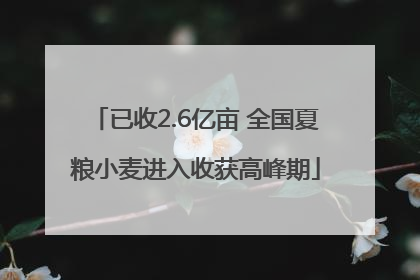 已收2.6亿亩 全国夏粮小麦进入收获高峰期