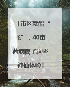 市区就能“飞”，40亩荷塘藏了这些神仙体验