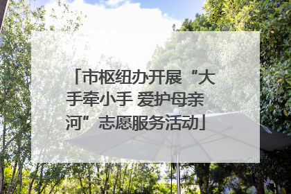 市枢纽办开展“大手牵小手 爱护母亲河”志愿服务活动