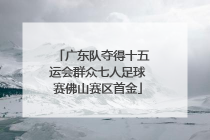广东队夺得十五运会群众七人足球赛佛山赛区首金