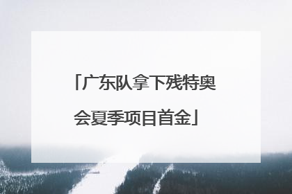 广东队拿下残特奥会夏季项目首金