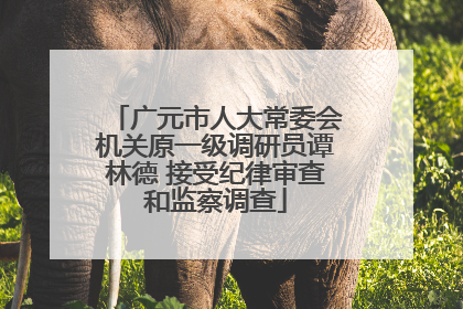 广元市人大常委会机关原一级调研员谭林德 接受纪律审查和监察调查