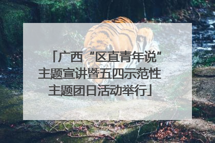 广西“区直青年说”主题宣讲暨五四示范性主题团日活动举行