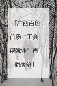 广西百色首场“工会帮就业”直播落幕
