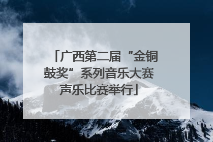 广西第二届“金铜鼓奖”系列音乐大赛声乐比赛举行