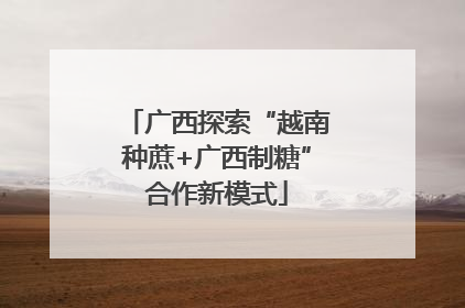 广西探索“越南种蔗+广西制糖”合作新模式