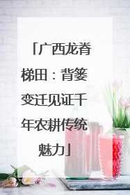 广西龙脊梯田：背篓变迁见证千年农耕传统魅力