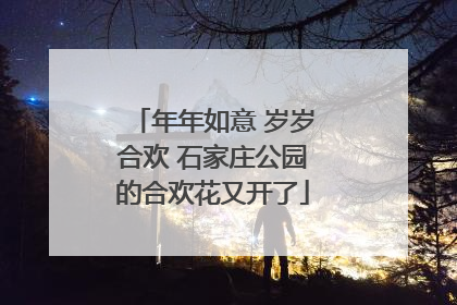 年年如意 岁岁合欢 石家庄公园的合欢花又开了