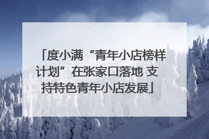 度小满“青年小店榜样计划”在张家口落地 支持特色青年小店发展