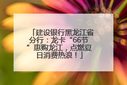 建设银行黑龙江省分行：龙卡“66节”惠购龙江，点燃夏日消费热浪！