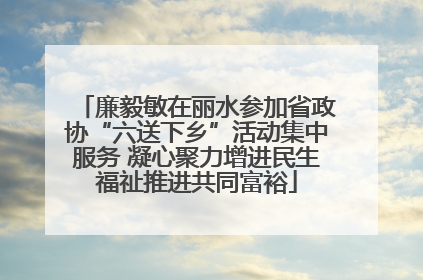 廉毅敏在丽水参加省政协“六送下乡”活动集中服务 凝心聚力增进民生福祉推进共同富裕