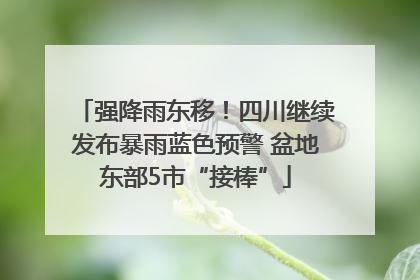 强降雨东移！四川继续发布暴雨蓝色预警 盆地东部5市“接棒”