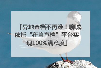 异地查档不再难！聊城依托“在鲁查档”平台实现100%满意度