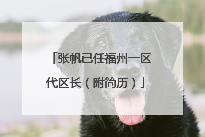 张帆已任福州一区代区长（附简历）