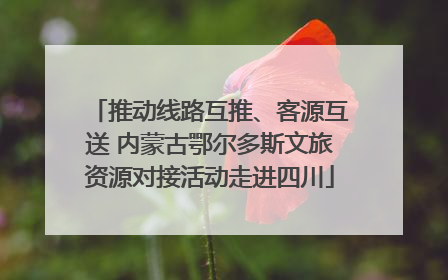 推动线路互推、客源互送 内蒙古鄂尔多斯文旅资源对接活动走进四川