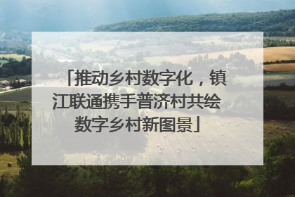 推动乡村数字化，镇江联通携手普济村共绘数字乡村新图景