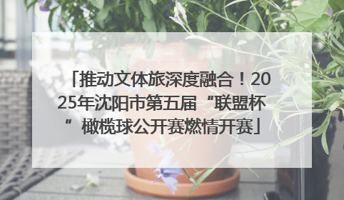 推动文体旅深度融合！2025年沈阳市第五届“联盟杯”橄榄球公开赛燃情开赛