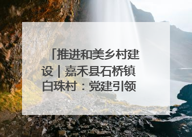推进和美乡村建设｜嘉禾县石桥镇白珠村：党建引领破“空”局 乡贤聚力绘就新图景